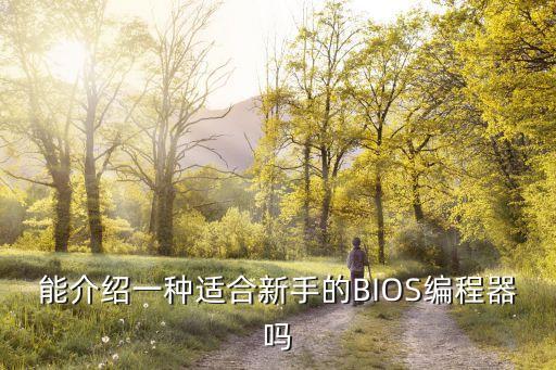 bios編程器，怎樣用BIOS編程器