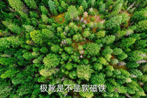 極靴，極靴是不是軟磁鐵