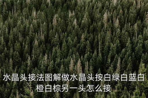 水晶頭接法圖解，水晶頭接法圖解做水晶頭按白綠白藍(lán)白橙白棕另一頭怎么接