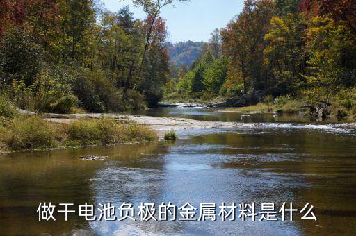 負(fù)極材料，做干電池負(fù)極的材料是什么