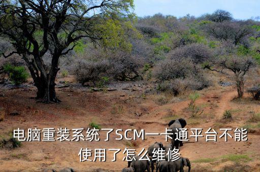 電腦重裝系統(tǒng)了SCM一卡通平臺(tái)不能使用了怎么維修