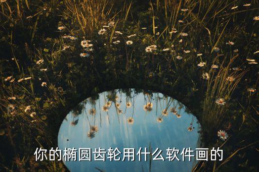 你的橢圓齒輪用什么軟件畫的