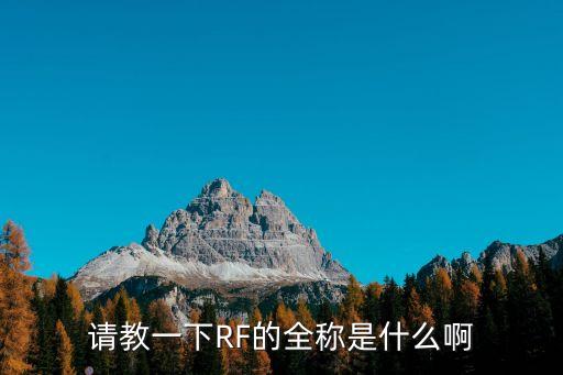 請教一下RF的全稱是什么啊