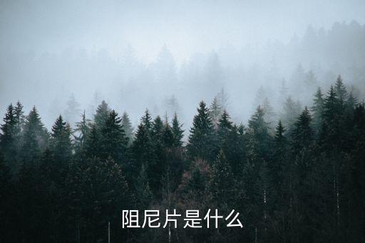 阻尼片是什么