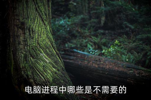 電腦進程中哪些是不需要的