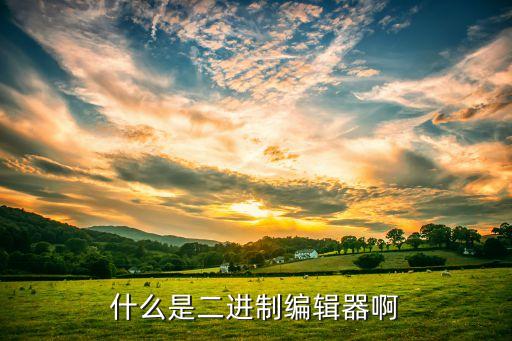 二進(jìn)制編碼器，名詞解釋二進(jìn)制編碼器