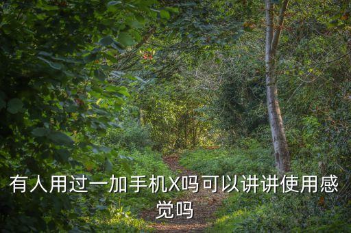 有人用過(guò)一加手機(jī)X嗎可以講講使用感覺(jué)嗎