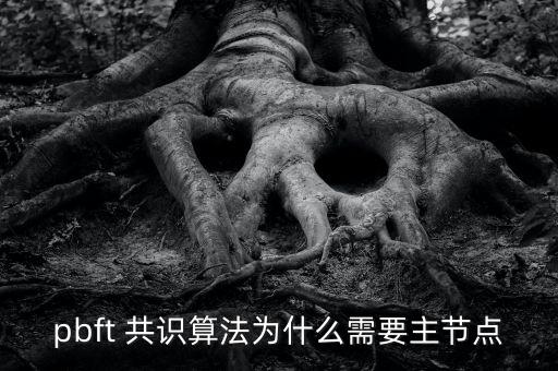 pbft 共識算法為什么需要主節(jié)點(diǎn)