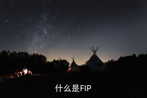 什么是FIP