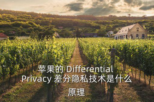 蘋果的 Differential Privacy 差分隱私技術(shù)是什么原理