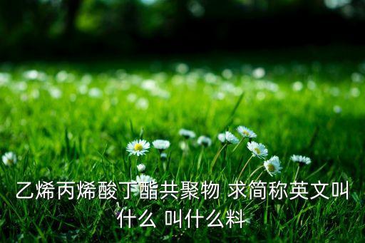 bma，乙烯丙烯酸丁酯共聚物 求簡(jiǎn)稱英文叫什么 叫什么料