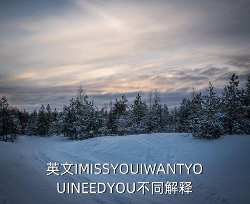 iwan，楊藝偉的英文名是什么