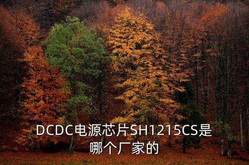 DCDC電源芯片SH1215CS是哪個廠家的