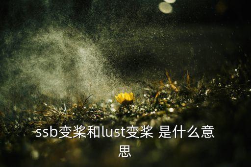 ssb變槳和lust變槳 是什么意思