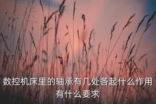 機(jī)床軸承，數(shù)控機(jī)床里的軸承有幾處各起什么作用有什么要求