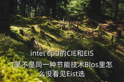 intel cpu的CIE和EIST是不是同一種節(jié)能技術(shù)Blos里怎么沒看見Eist選