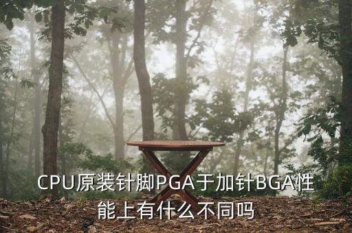 CPU原裝針腳PGA于加針BGA性能上有什么不同嗎
