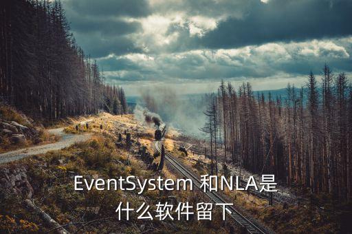 nla，Network Location Awareness NLA服務(wù)