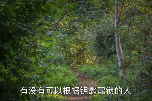 有沒有可以根據(jù)鑰匙配鎖的人