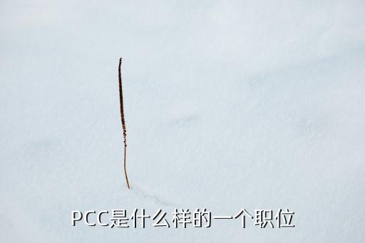PCC是什么樣的一個(gè)職位