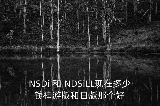 nsdi，nsdi比ndsl貴幾百塊 買來真的值嗎