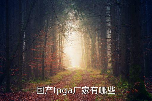 國產(chǎn)fpga，在國內(nèi)FPGA供應商主要是Xilinx公司還是Altera公司即在國內(nèi)哪家
