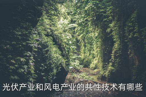 光伏產(chǎn)業(yè)和風(fēng)電產(chǎn)業(yè)的共性技術(shù)有哪些