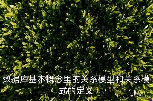 數(shù)據(jù)庫基本概念里的關(guān)系模型和關(guān)系模式的定義