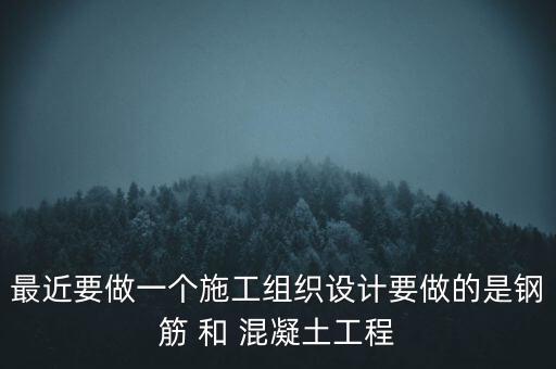 最近要做一個施工組織設計要做的是鋼筋 和 混凝土工程