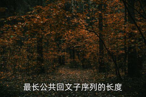 最長回文子串，最長公共回文子序列的長度