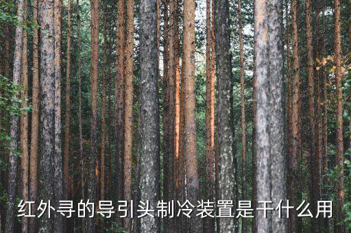 紅外導(dǎo)引頭，非致冷紅外成像焦面陣面導(dǎo)引頭