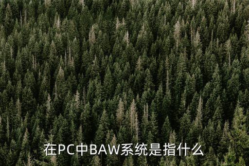 baw，BAW是什么意思