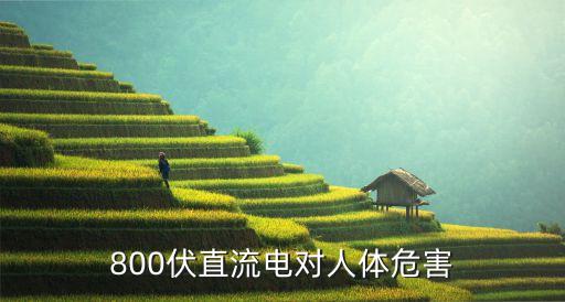 800伏直流電對人體危害