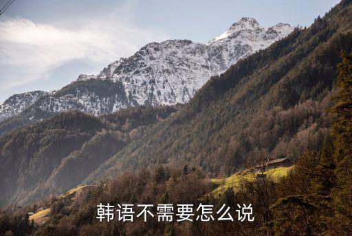 liupi，韓語(yǔ)不需要怎么說
