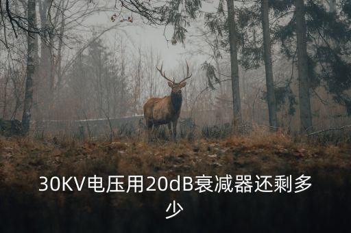 30KV電壓用20dB衰減器還剩多少