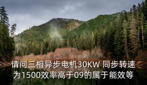 請(qǐng)問三相異步電機(jī)30KW 同步轉(zhuǎn)速為1500效率高于09的屬于能效等