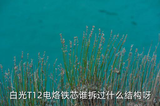 白光T12電烙鐵芯誰(shuí)拆過(guò)什么結(jié)構(gòu)呀