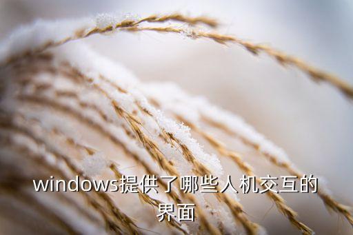 人機(jī)交互界面，windows提供了哪些人機(jī)交互的界面