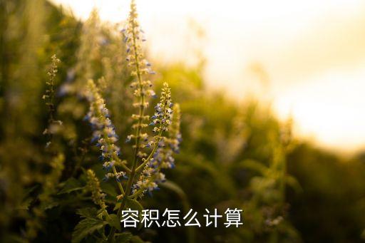 計算容量，容量的計算