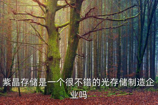 紫晶存儲是一個很不錯的光存儲制造企業(yè)嗎