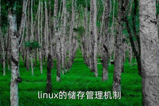 linux的儲存管理機制