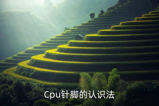 Cpu針腳的認(rèn)識(shí)法