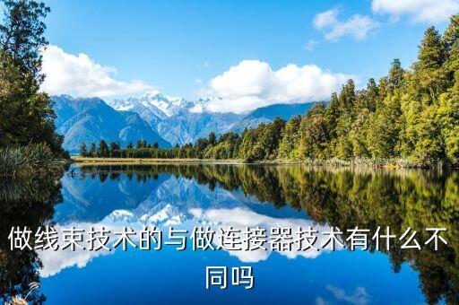 線(xiàn)束連接器，動(dòng)力電池低壓線(xiàn)束插接件的端子定義