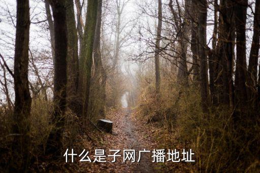 什么是子網(wǎng)廣播地址