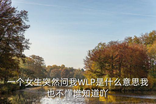 一個女生突然問我WLP是什么意思我也不懂誰知道吖