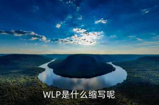 WLP是什么縮寫呢