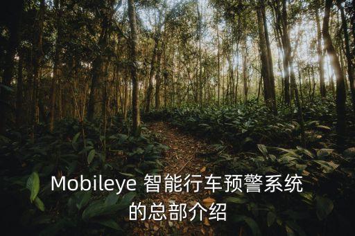 Mobileye 智能行車預警系統(tǒng)的總部介紹