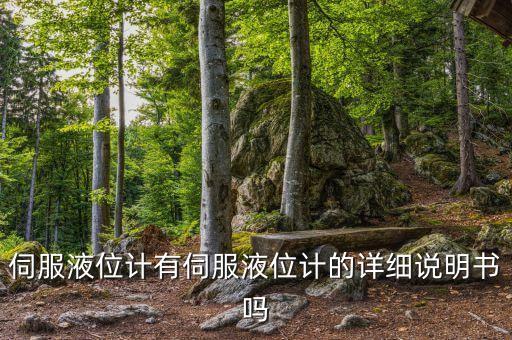 伺服液位計(jì)有伺服液位計(jì)的詳細(xì)說明書嗎