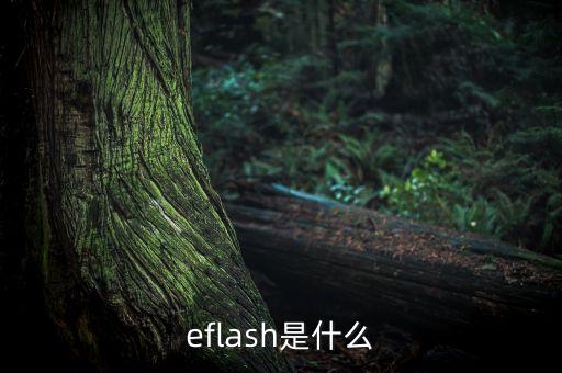 eflash，eflash是什么