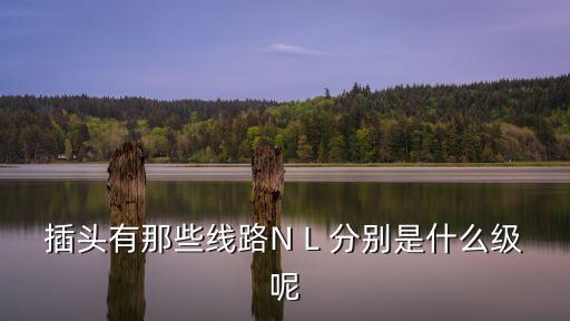 插頭有那些線路N L 分別是什么級呢